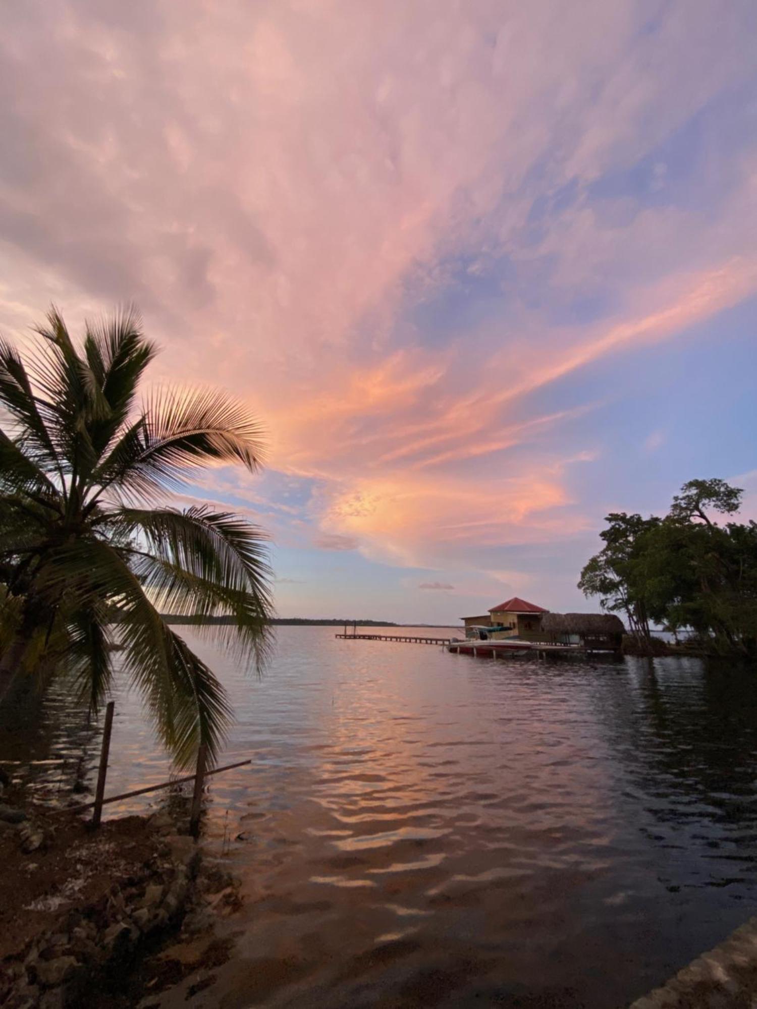 Dolphin Blue Paradise โบกัสทาวน์ ภายนอก รูปภาพ