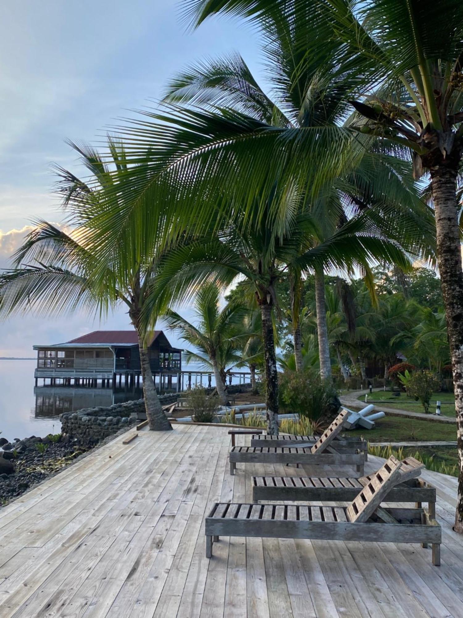 Dolphin Blue Paradise โบกัสทาวน์ ภายนอก รูปภาพ