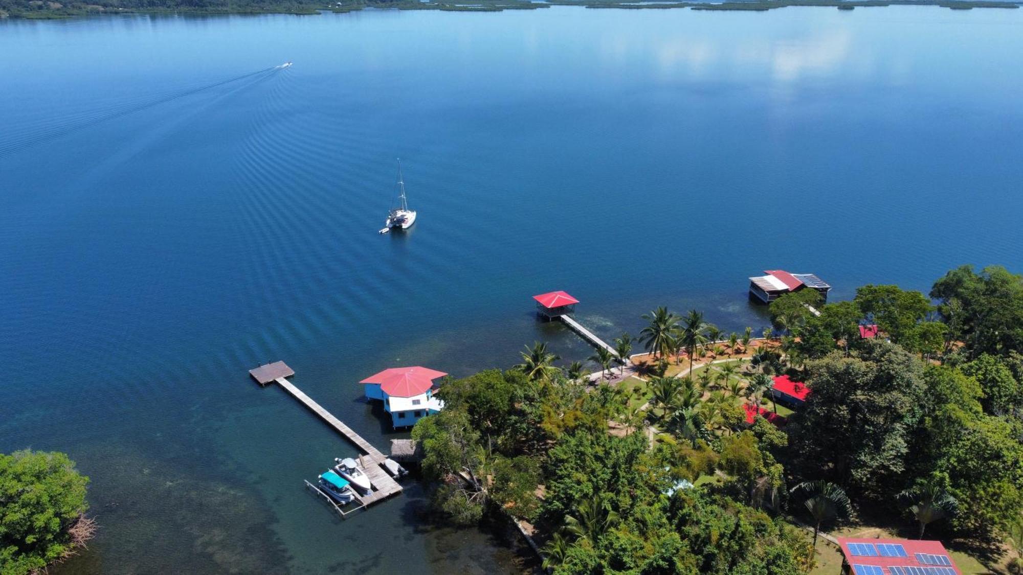 Dolphin Blue Paradise โบกัสทาวน์ ภายนอก รูปภาพ