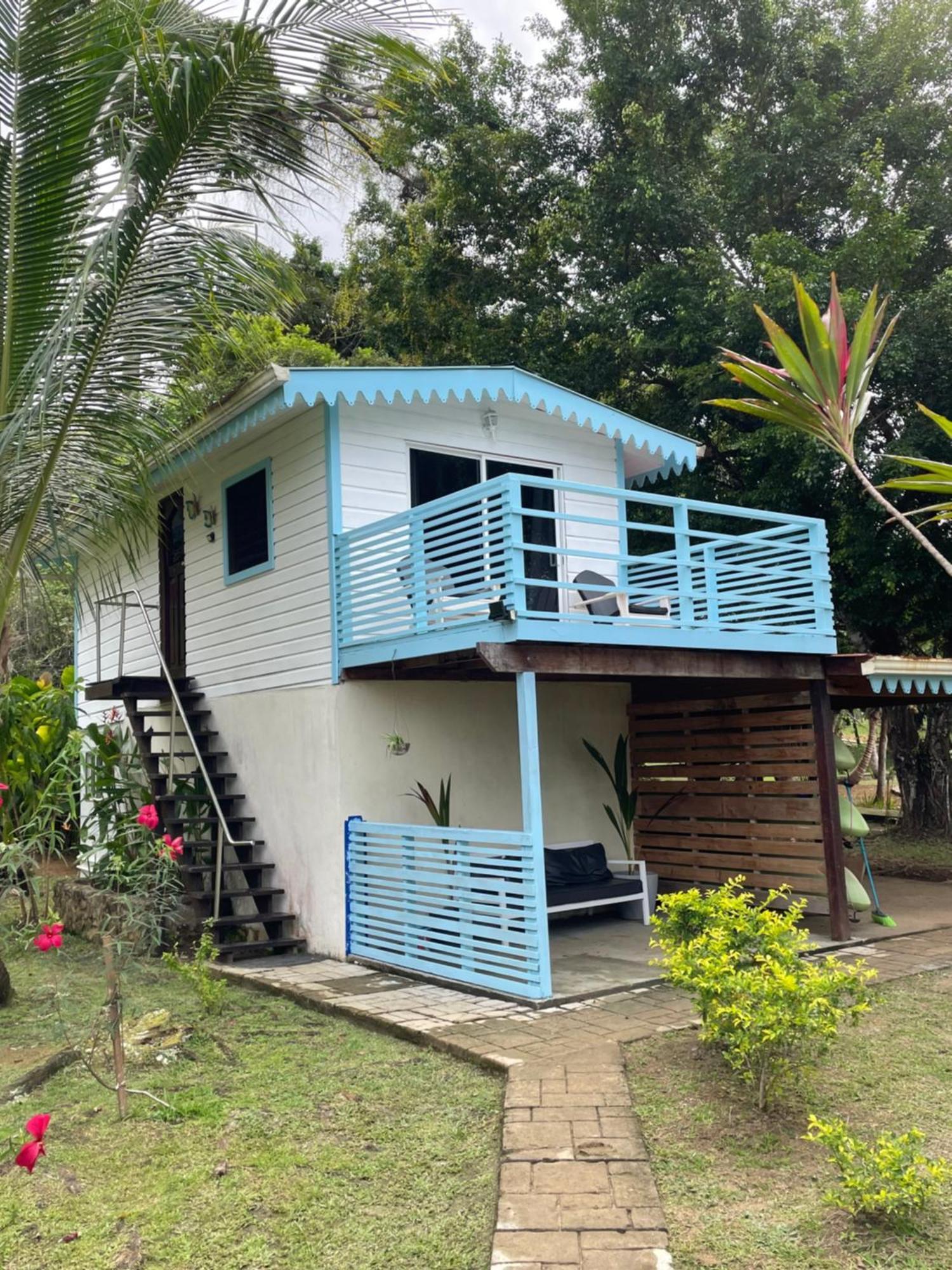 Dolphin Blue Paradise โบกัสทาวน์ ภายนอก รูปภาพ
