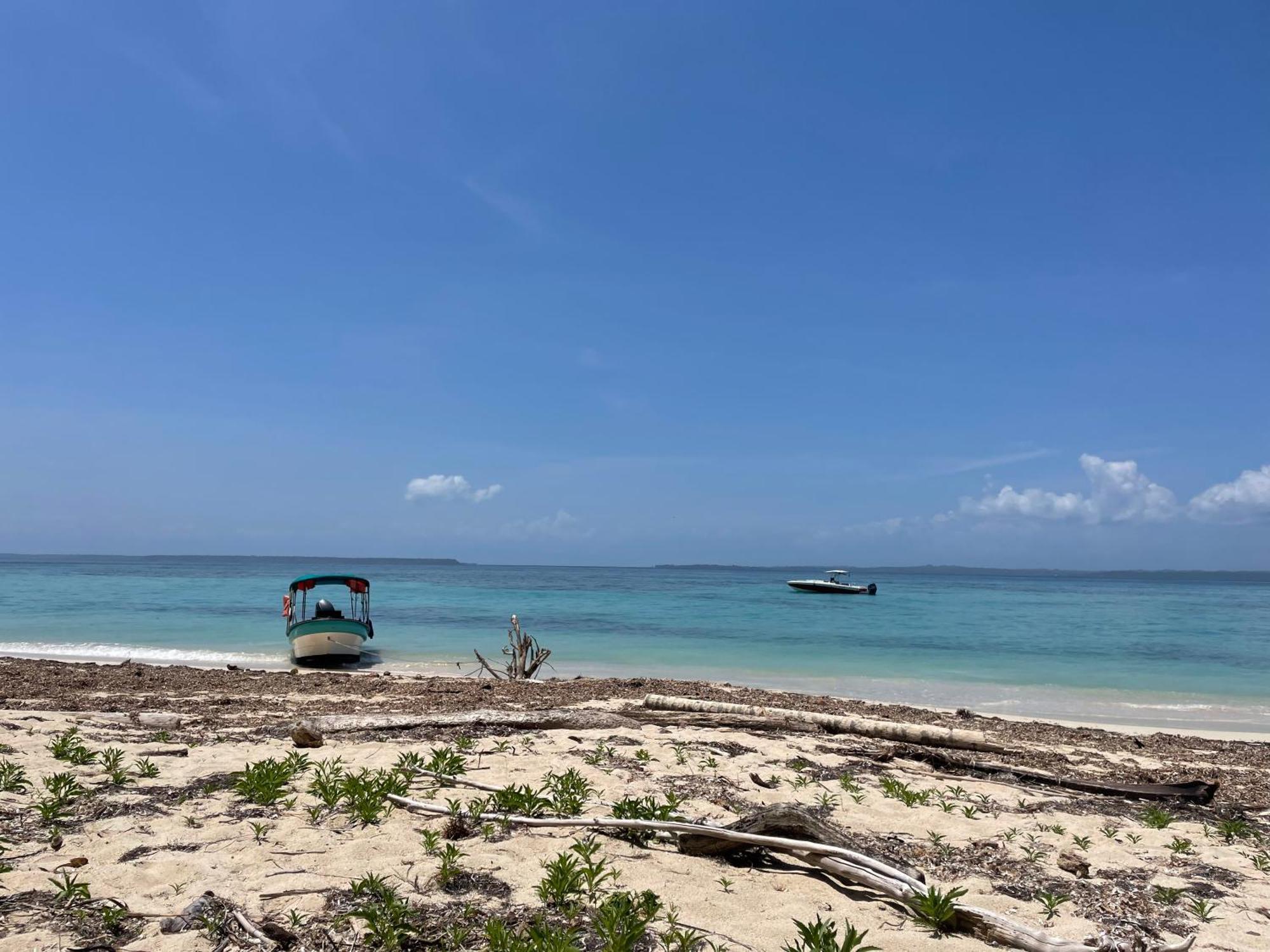Dolphin Blue Paradise โบกัสทาวน์ ภายนอก รูปภาพ