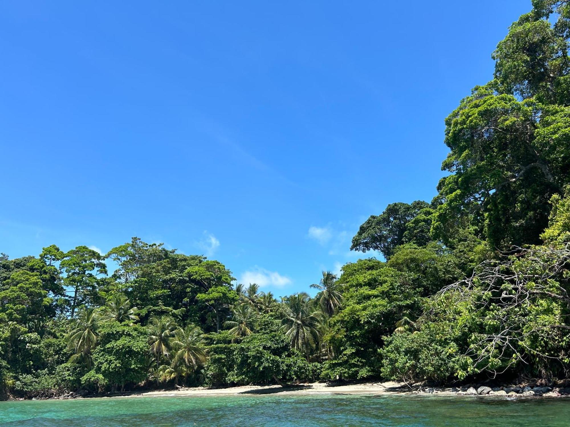 Dolphin Blue Paradise โบกัสทาวน์ ภายนอก รูปภาพ